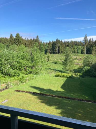 Příroda nedaleko apartmánu