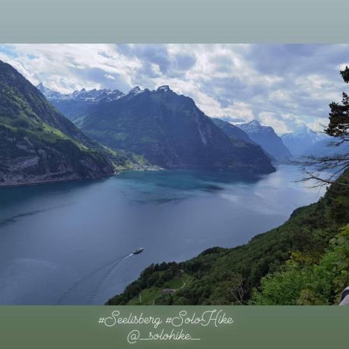 a view of a lake in a valley with mountains at Schöne Ferienwohnung in Traumlage FeWo SoloHike in Seelisberg