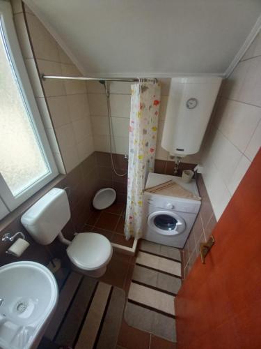 a small bathroom with a toilet and a sink at Apartman Luka in Trebinje