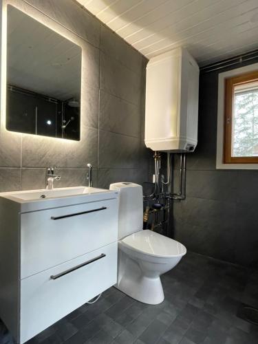 a bathroom with a toilet and a sink and a mirror at Koivuranta in Ähtäri