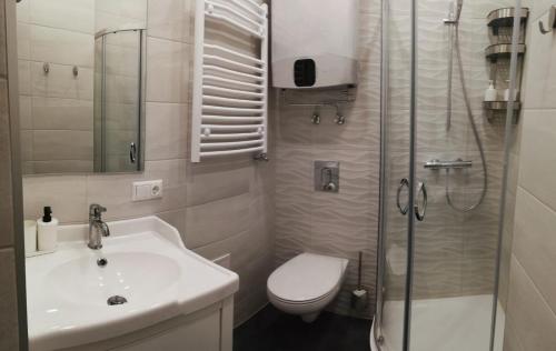 a bathroom with a sink and a toilet and a shower at Historic apartment with Wooden floors in the Hearth of Old-town Riga in Rīga