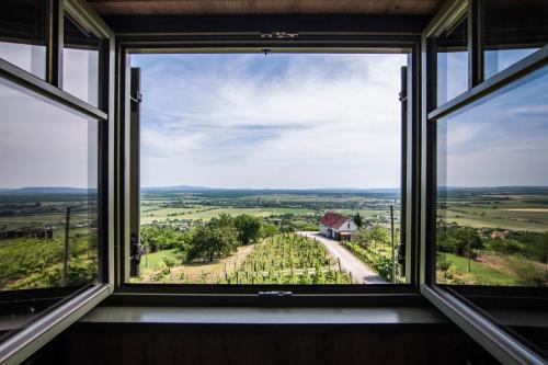 a window with a view of a vineyard seen through it at NemCsuri Vendegház Somló in Somlóvásárhely