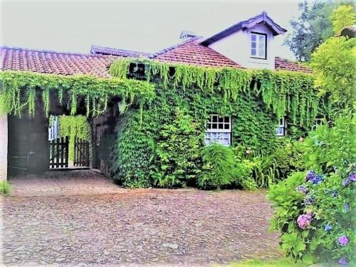 a house covered in ivy with a yard at Casa da Roseira in Ponte de Lima