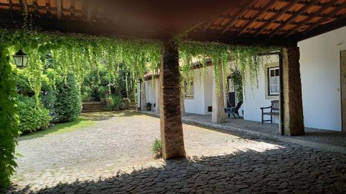 eine Außenterrasse mit Efeu an den Wänden eines Gebäudes in der Unterkunft Casa da Roseira in Ponte de Lima