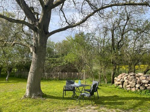 a table and chairs under a tree in a yard at Kleines Haus am Feld in Rehna