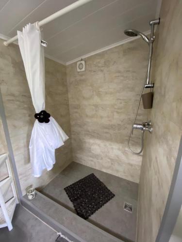 a bathroom with a shower with a white towel at Bungalow "Strandblick" in Göhren