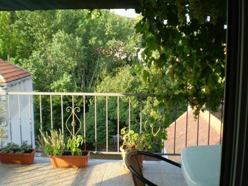 Apartment Brezak في Lastovo: شرفة مع نباتات الفخار وسياج