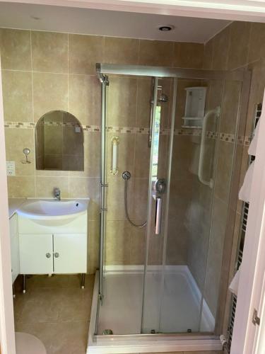 a bathroom with a shower and a sink at Felbrigg Lodge Bed And Breakfast in Aylmerton