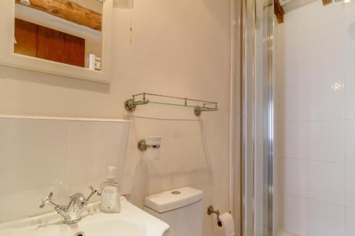 une salle de bain avec un lavabo, des toilettes et une douche dans l'établissement Garden Cottage, à Diss