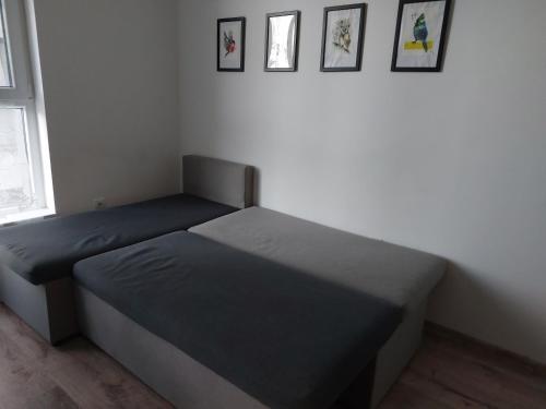 - un lit dans une chambre avec 3 photos sur le mur dans l'établissement Breezy Studio 5, à Varna