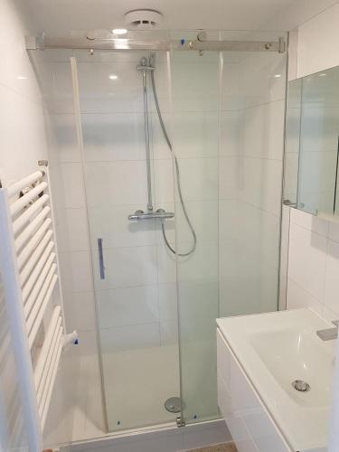 a glass shower in a bathroom with a sink at Villa Amsteldijck (8km from Amsterdam) in Ouderkerk aan de Amstel
