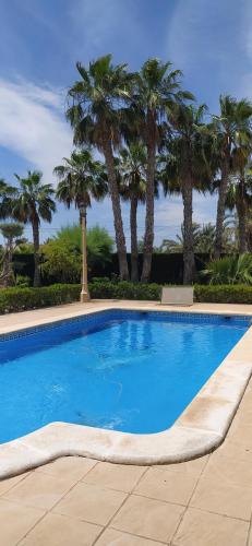 a blue swimming pool with palm trees in the background at CASA JOAN in Elche