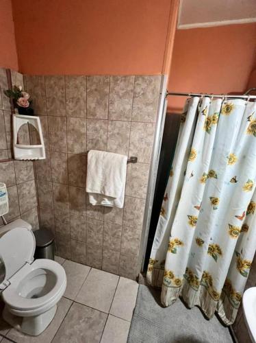a bathroom with a toilet and a shower curtain at Residencial Campo Verde in La Serena