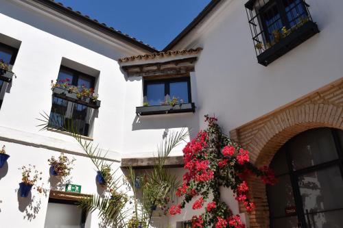 Patio San Andrés