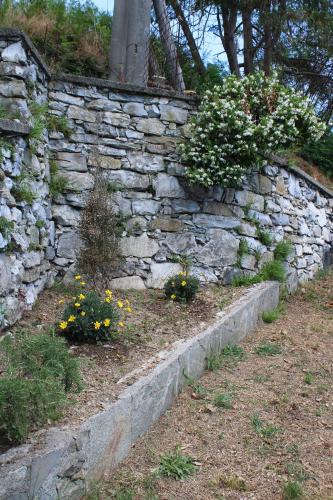 a stone wall with some flowers in front of it at Villa ELENA in Mezzanego