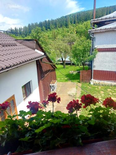 a view of a house with flowers in a yard at PENSIUNEA BOCA VORONET in Voronet