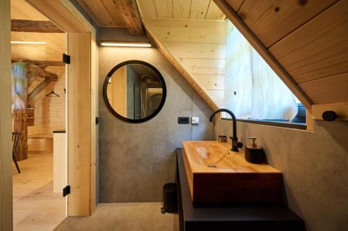 a bathroom with a sink and a mirror at NATUR BAJTA in Solčava