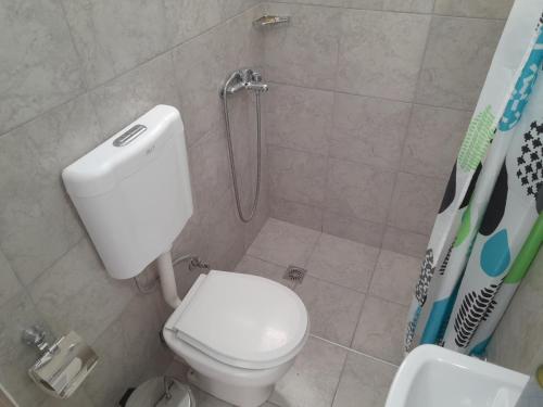 a bathroom with a toilet and a shower at Silver view in Batsi
