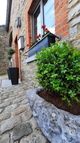 a brick building with a window with a flower box at Le Gai Pinson in Beausaint