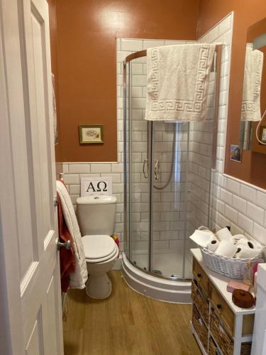 a bathroom with a toilet and a shower at Charming 1-Bed Studio in Middlesbrough in Middlesbrough