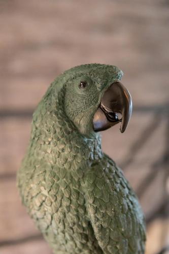 a close up of a green bird with its beak at La Grenouille - Suite de luxe & Welness Privatif in Leuze-en-Hainaut