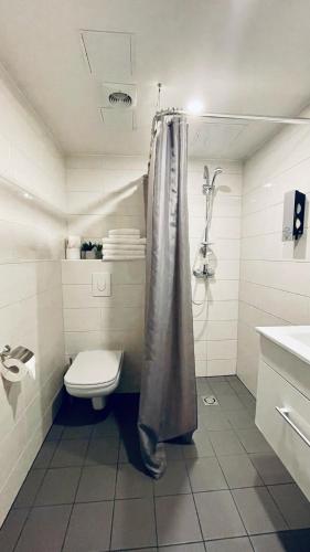a bathroom with a toilet and a shower curtain at Apartement Aisa in Pärnu