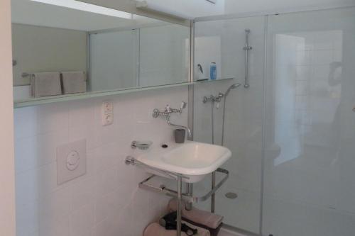 a bathroom with a sink and a shower at Studio-Apartment in Trausdorf an der Wulka