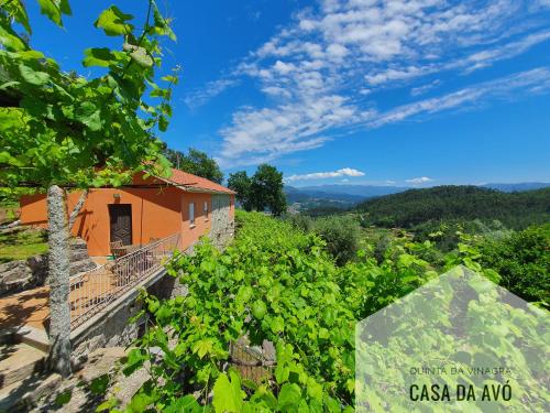 a house on a hill with vines at Quinta da Vinagra in Tourim