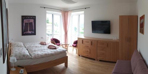 a bedroom with a bed and a dresser and a tv at Penzion Renesance in Drnovice