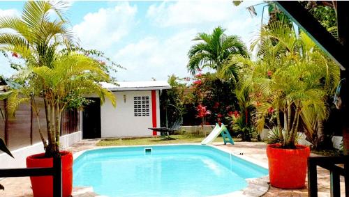 馬羅尼河畔聖羅蘭的住宿－Hudace maison partagée，一座棕榈树游泳池和滑梯