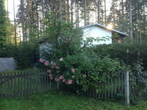 a fence with a bush of roses and a house at Tiny House - Auszeit im Wald am Badesee in Tanna