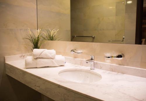 een badkamerbar met een wastafel en een spiegel bij Xenon Hotel & SPA in Belgrado
