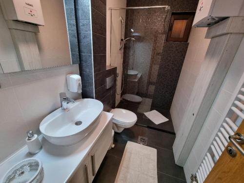 a bathroom with a sink and a toilet and a shower at Apartman Prestige Jahorina in Jahorina