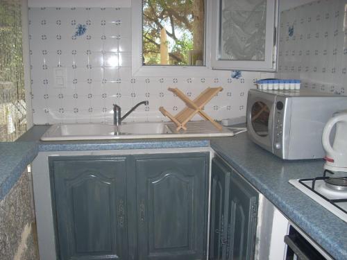 una cucina con lavello e microonde di Demeure traditionnelle en pierre avec piscine a Sartène