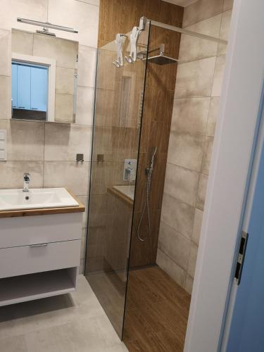a bathroom with a shower with a cat on a shelf at Apartament Dorka in Rogowo