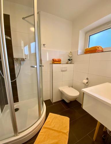 a bathroom with a shower and a toilet and a sink at Landhaus Teuteberg in Bad Bevensen
