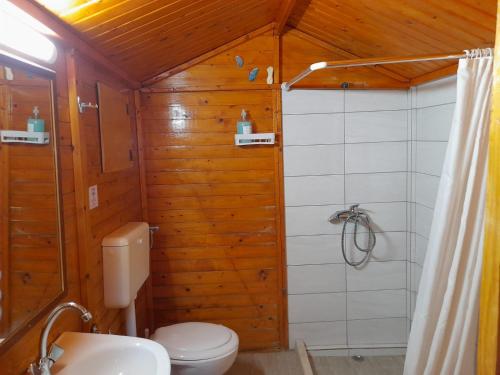 ein Bad mit einem WC und einer Dusche in der Unterkunft Katia cottage Kassiopi in Kassiopi