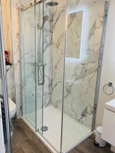 a shower with a glass door in a bathroom at Yellowham Farm, Dorchester in Yellowham Wood