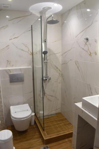 a bathroom with a shower and a toilet and a sink at Hotel Lefkes in Paralía Skotínis