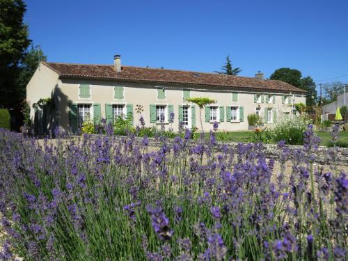 a field of purple flowers in front of a house at Les vieilles pierres in Aumagne