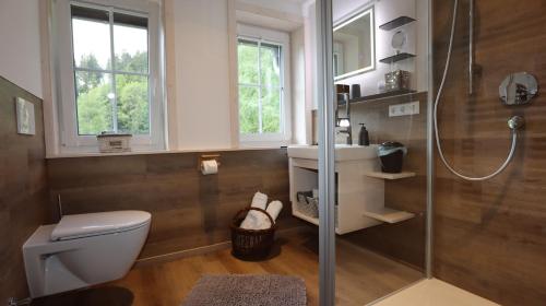 W łazience znajduje się prysznic, toaleta i umywalka. w obiekcie Ferienwohnung Waldrauschen in der Höhenpension Glashütte w mieście Bonndorf im Schwarzwald