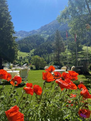 a group of red flowers in a yard with tables and chairs at Hotel Regina Terme in Leukerbad