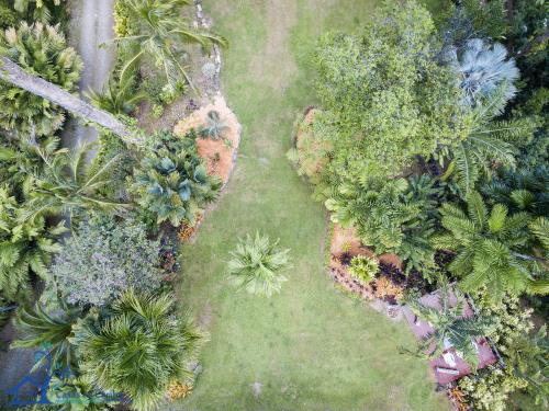 an overhead view of a garden with trees and bushes at Luxury Villa Macaw Pool House with FiberOp and Oceanviews in Punta Uva