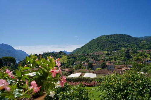 Blick auf ein Dorf mit Bergen im Hintergrund in der Unterkunft Villa Vitali - Bellagio in Bellagio