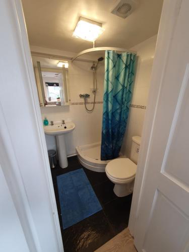 een kleine badkamer met een toilet en een wastafel bij Lovely private studio room with own kitchen and bathroom. Set in the popular area of Shiphay in Torquay and only a short walk from Torbay Hospital in Torquay