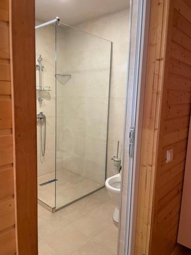 a glass shower in a bathroom with a toilet at Cottage Gageta in Ureki