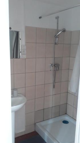 łazienka z prysznicem i umywalką w obiekcie LE CAMELIA w mieście Éguzon-Chantôme