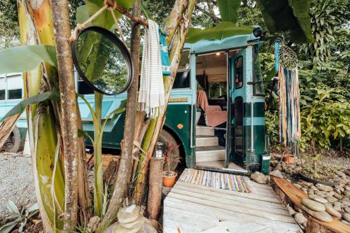 Tribe Boutique Hotel - Adults Only