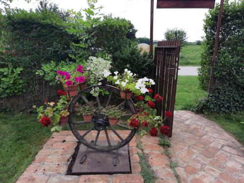 a flower wheel with pots of flowers on it at Villa Sunset in Palić