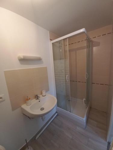 une salle de bain avec douche et lavabo dans l'établissement COQUETTE MAISONNETTE, à Bourges